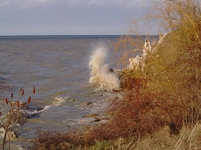 Lake Erie